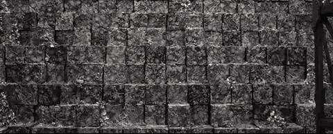 10.gif