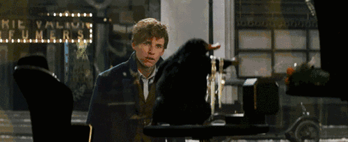 10.gif